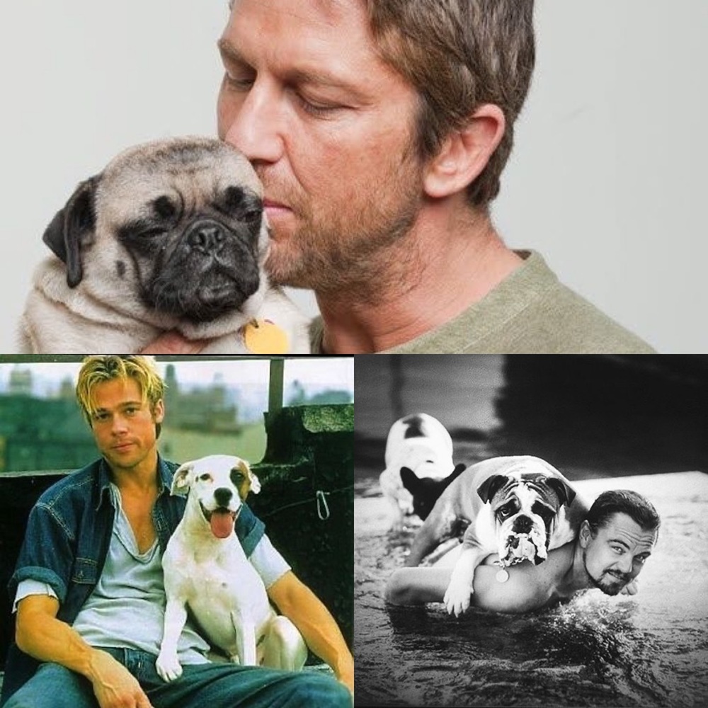 🌟Design House Pillow - Picture 13 of 16